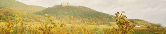 Blick zum Hambacher Schloss
